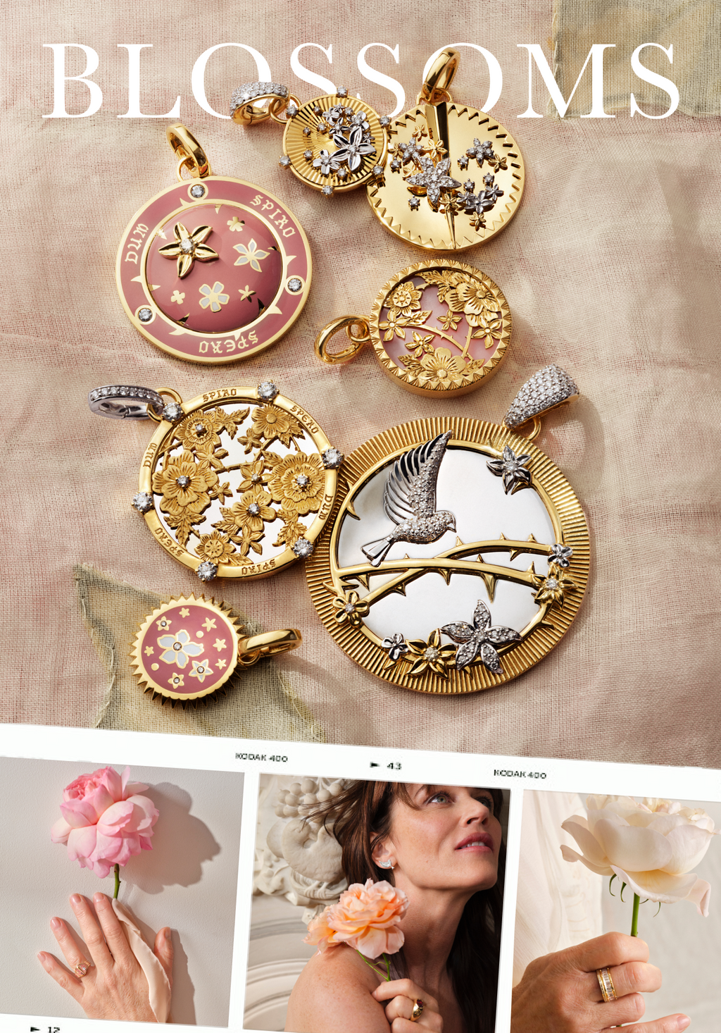 Discover Resilience Blossoms