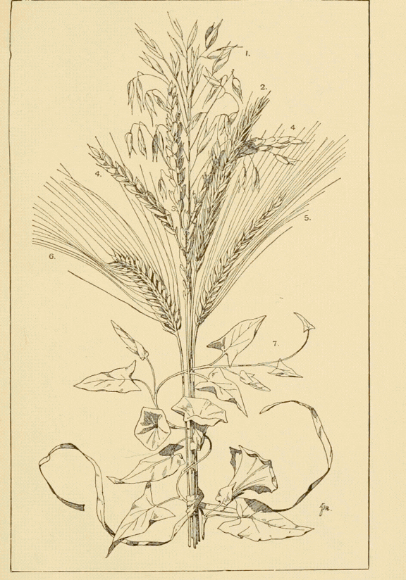 Join Beth as she Guides You Through the Infinite Gratitude Tenet