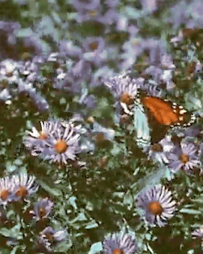 Reverie: The Path to Joy