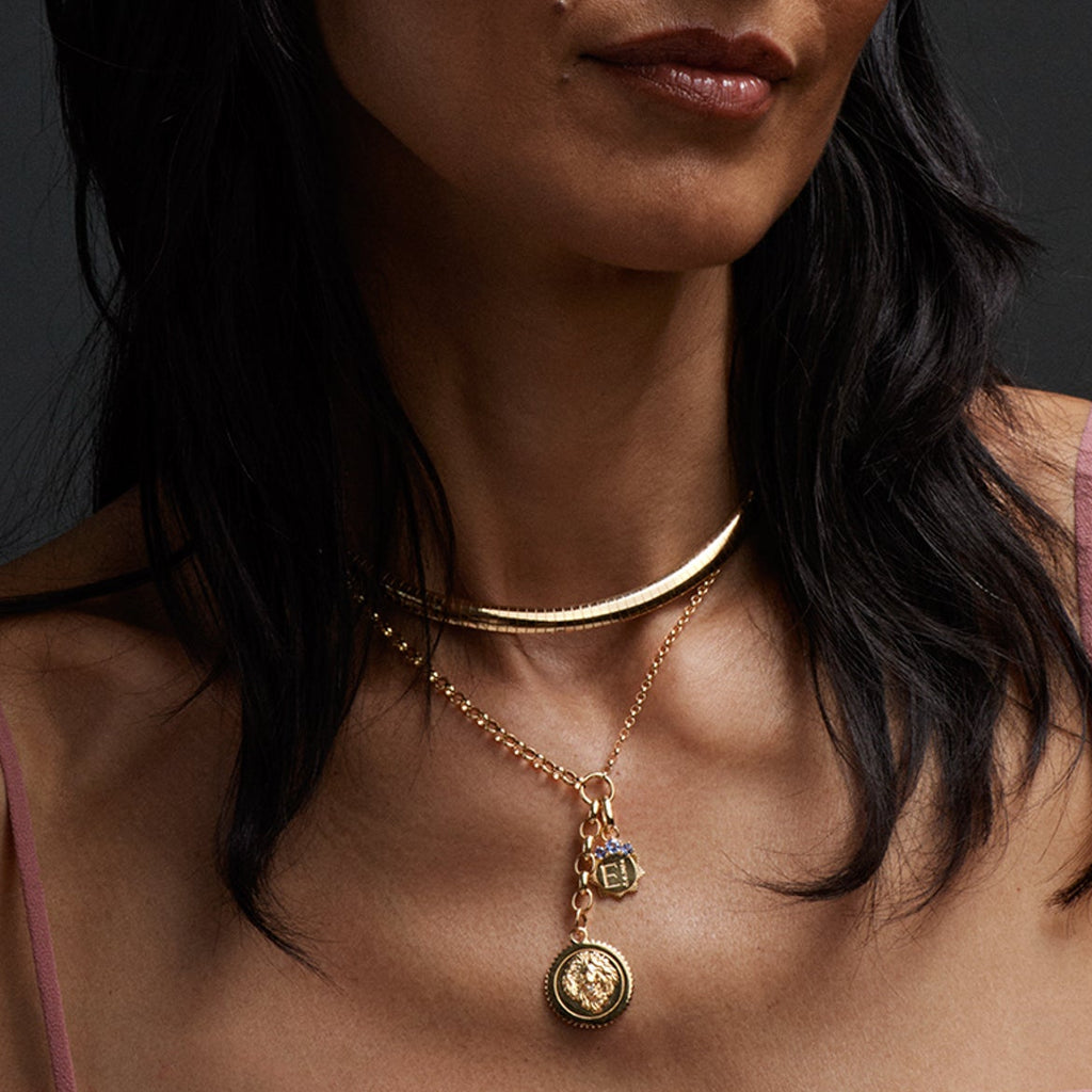 18K Yellow Gold Tanzanite Engravable Miniature Medallion : in Yellow Gold with an Annex Link – FoundRae view 3