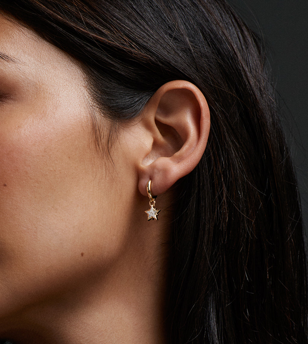 North Star - Internal Compass : Diamond Drop Earring view 2