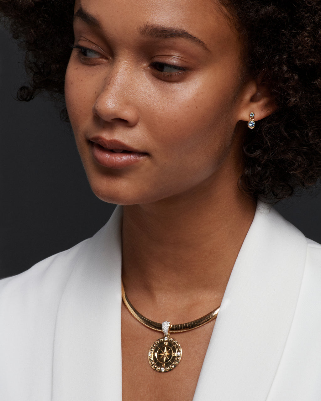 18K Yellow Gold Internal Compass : Medium Sleek Collar Necklace – FoundRae view 3