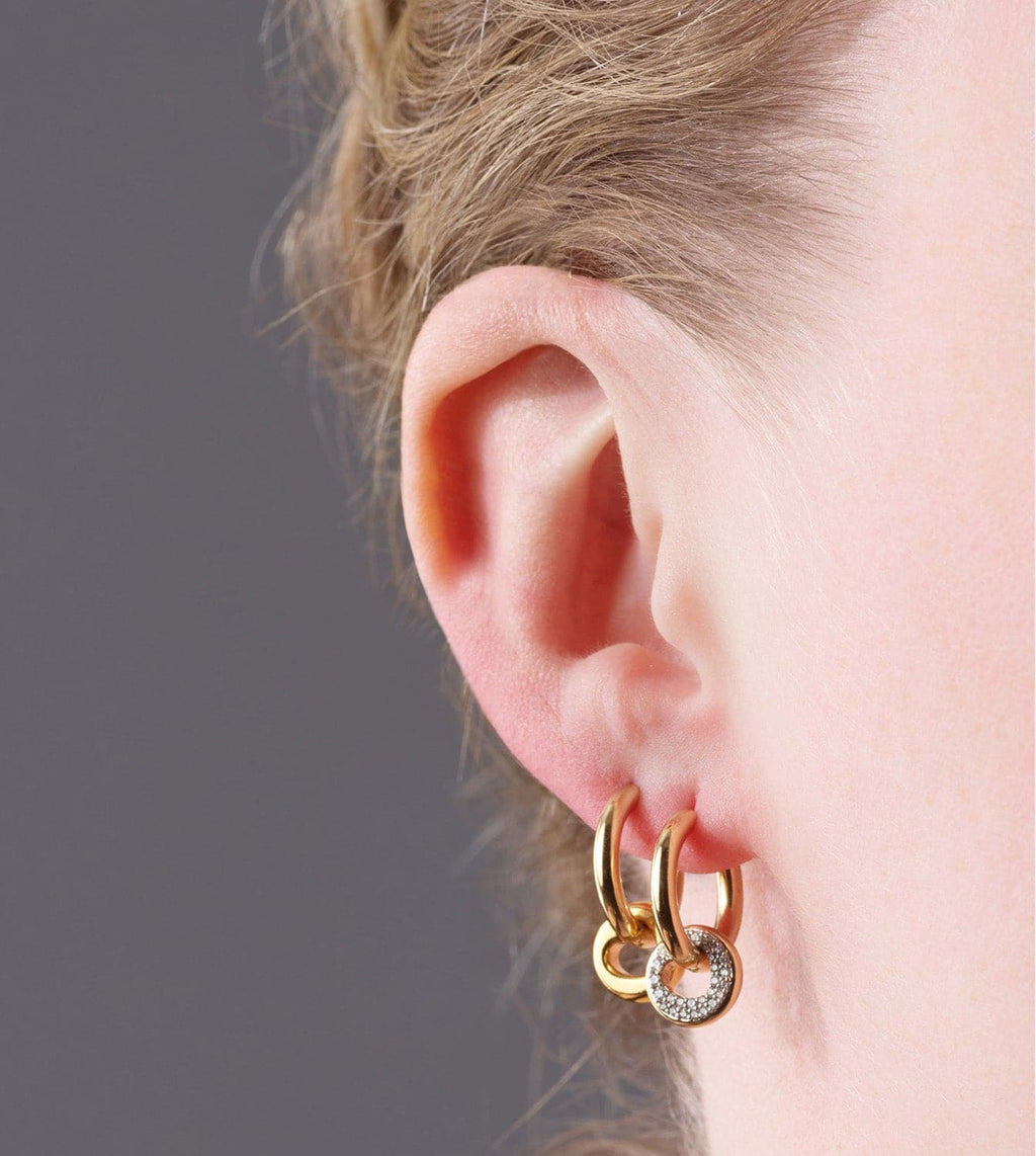 18K  Yellow  Gold Wholeness : Heart Beat Small Chubby Hoop Earring – FoundRae