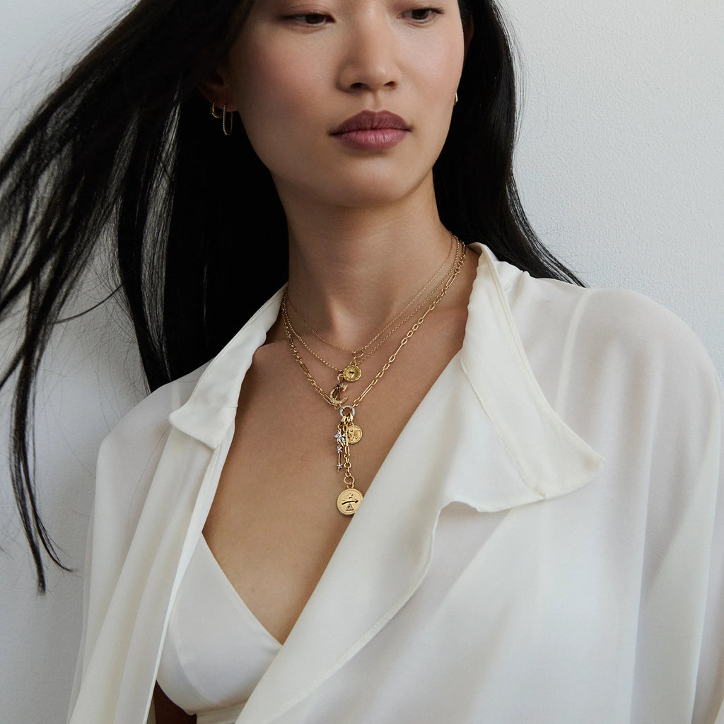 18K Mixed Gold Dream - Reverie | Butterfly and Thorn Small Mixed Clip Extension Necklace | Diamonds, Mixed Gold – FoundRae view 2