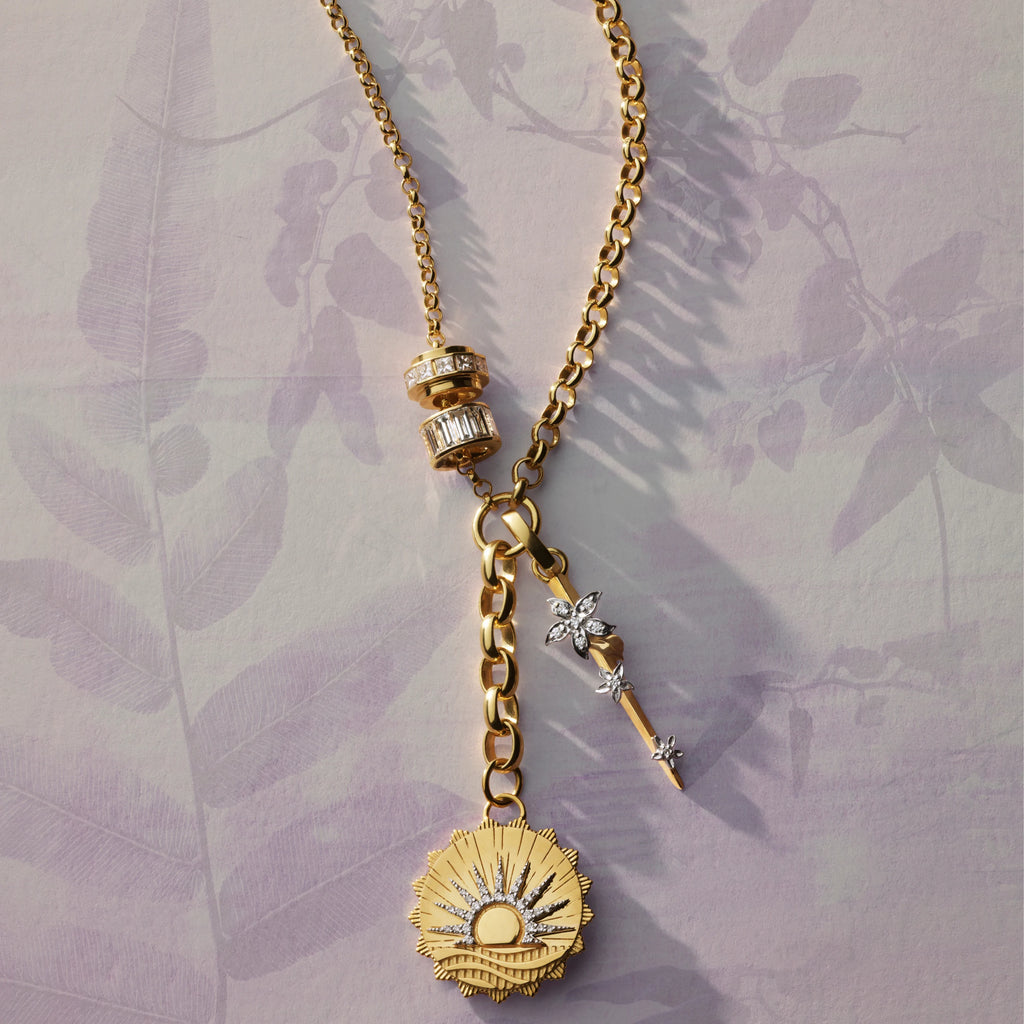 18K Yellow Gold Internal Compass - Resilience | New Beginnings and Thorn Medium Mixed Belcher Extension Necklace | Diamonds, Mixed Gold – FoundRae view 4