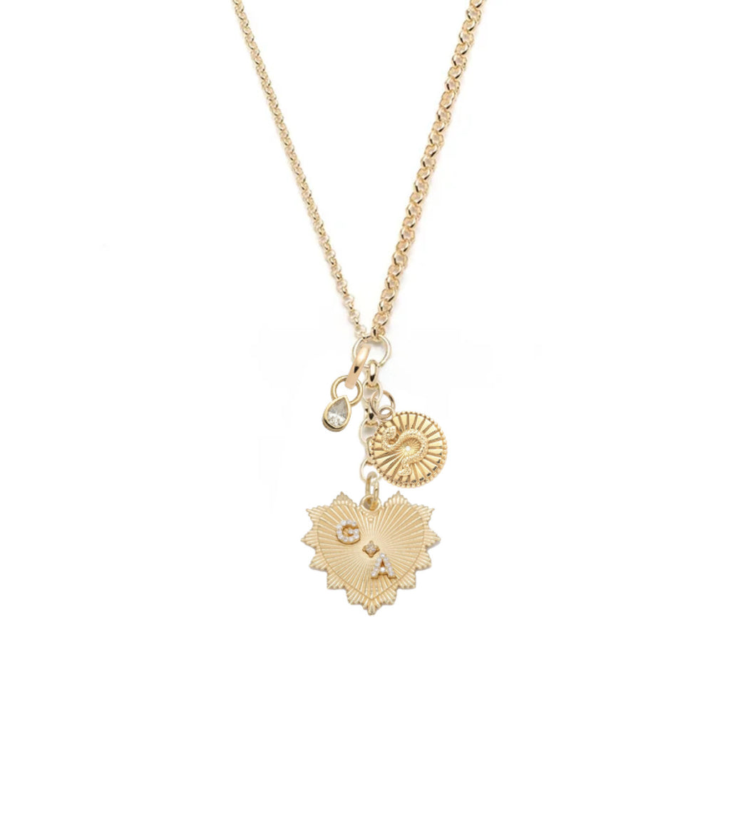 Radiating Heart, Snake, Forever & Always a Pair : Medium Mixed Belcher Extension Necklace view 1