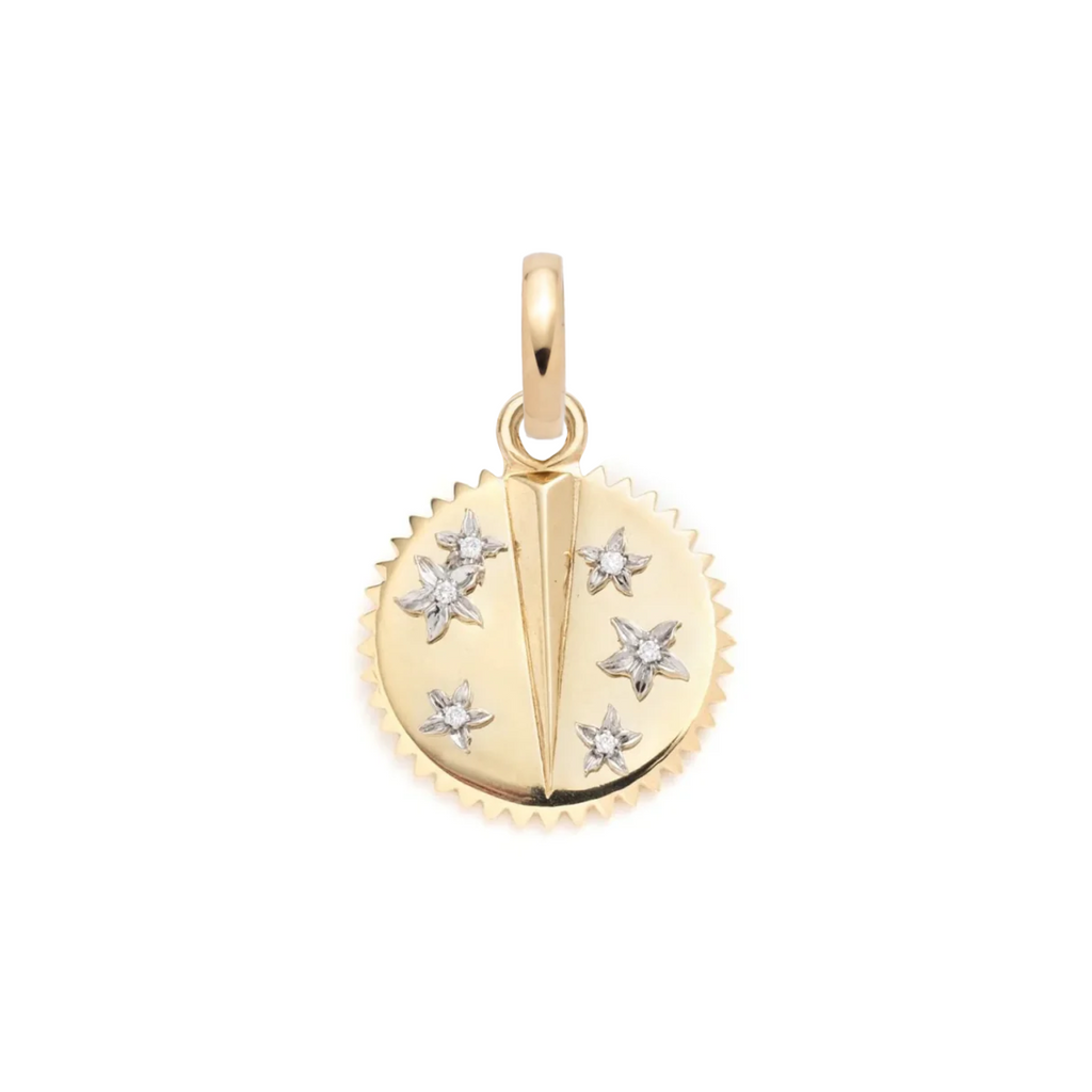 18K Yellow Gold Resilience Baby Medallion : in Gold with Diamonds and an Annex Link – FoundRae view 1
