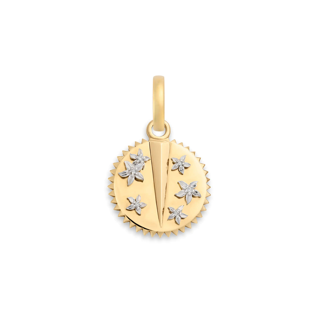 Resilience | Baby Medallion | Diamonds, 18K Yellow Gold, 18K White Gold view 1