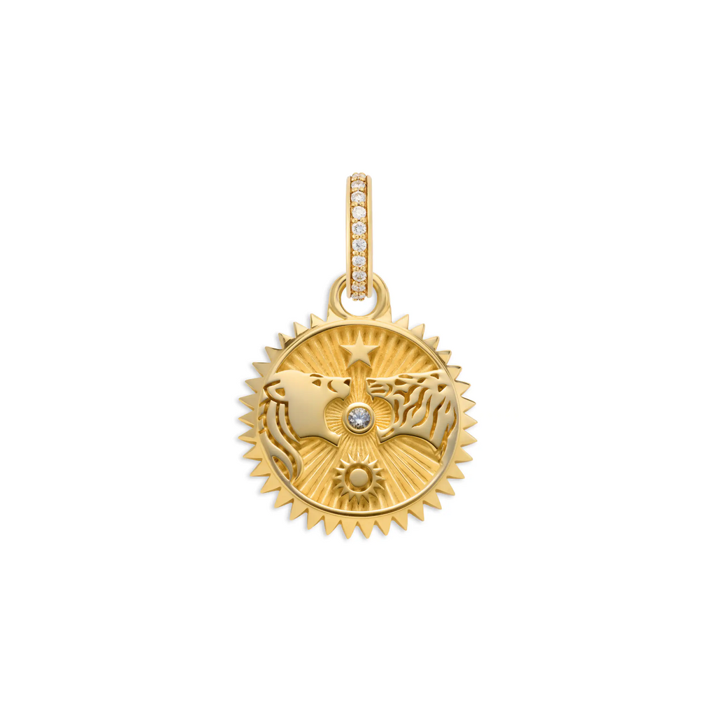 18K Yellow Gold Strength | Solar & Lunar Baby Medallion | Diamond, 18K Yellow Gold – FoundRae view 3