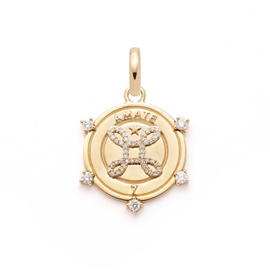 Amate Medium Medallion : in Yellow Gold with Diamonds and an Annex Link