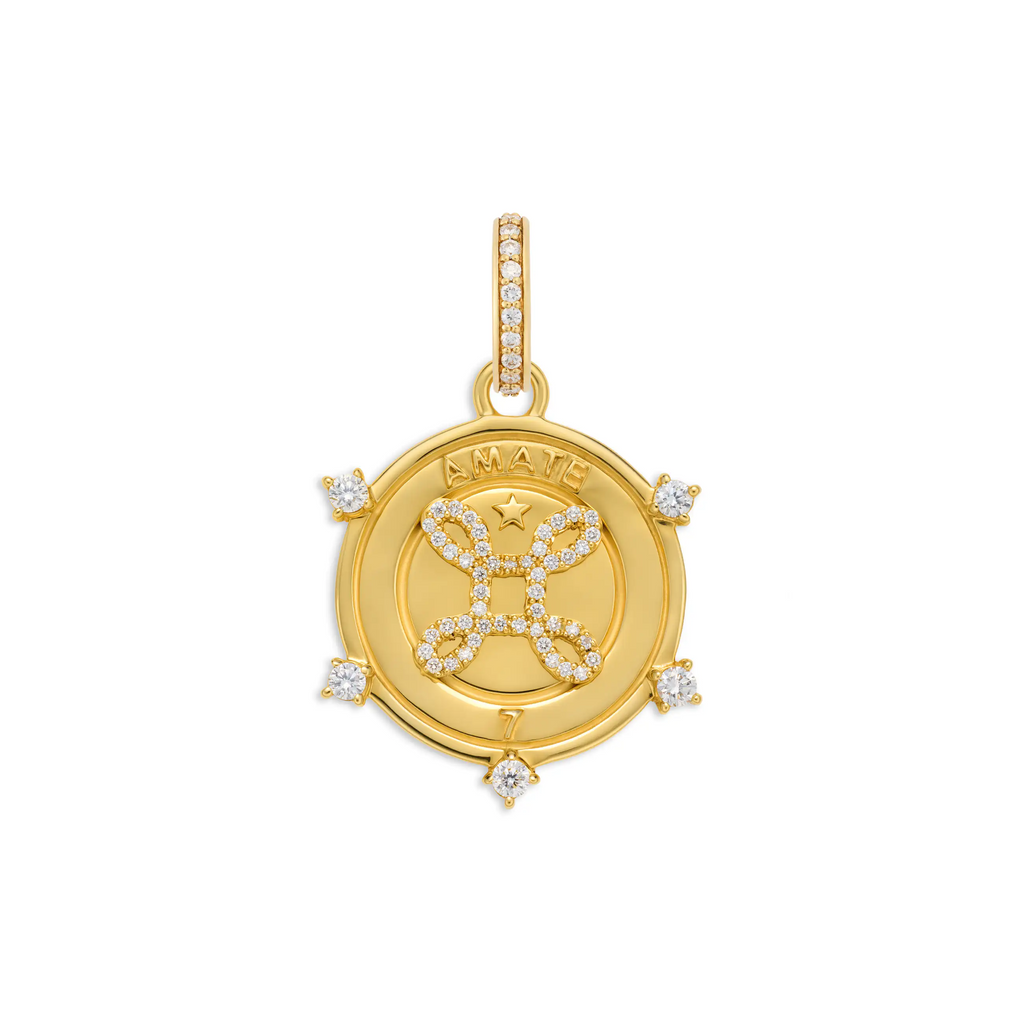 18K Yellow Gold True Love | Amate Medium Medallion | Diamonds, 18K Yellow Gold – FoundRae view 3