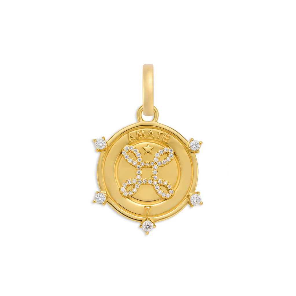 18K Yellow Gold True Love | Amate Medium Medallion | Diamonds, 18K Yellow Gold – FoundRae view 1