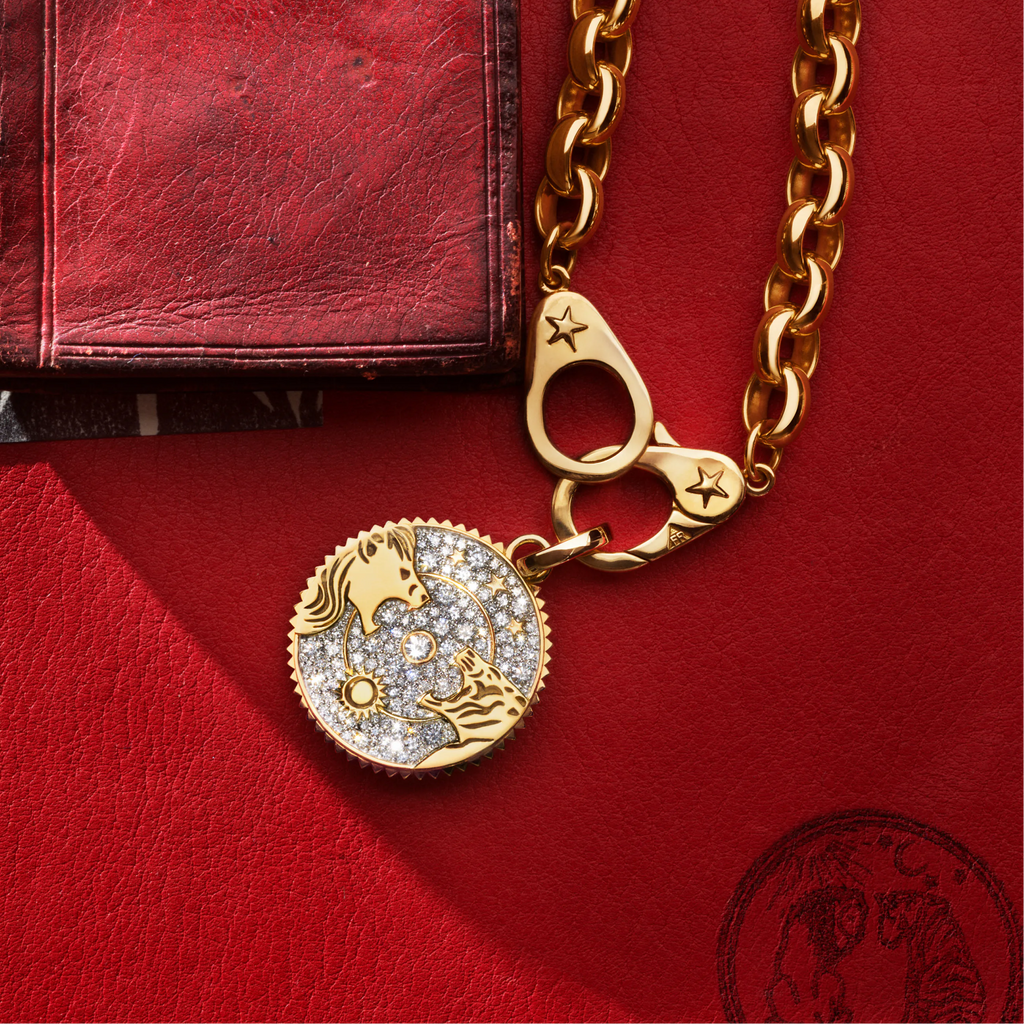 18K Yellow Gold Strength | Pavé Solar & Lunar Large Medallion | Diamonds, 18K Yellow Gold – FoundRae view 5