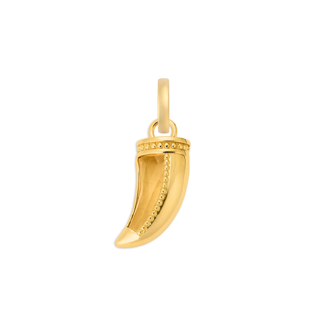 18K Yellow Gold Protection | Gemstone La Loba Claw Pendant | Champagne Citrine, 18K Yellow Gold – FoundRae view 5