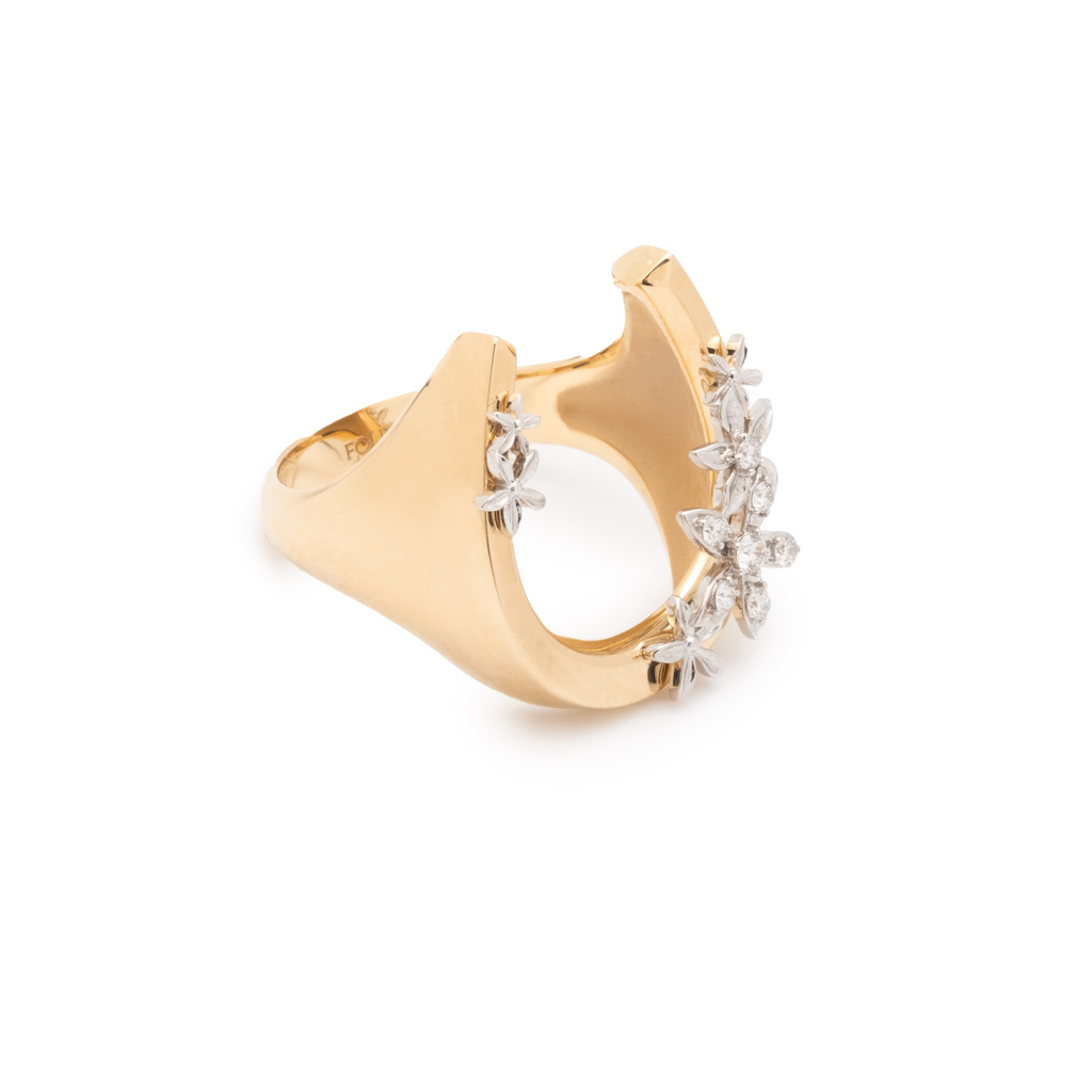 18K Mixed Gold Protection & Resilience Horseshoe Ring : in Mixed Gold with Diamonds – FoundRae view 2