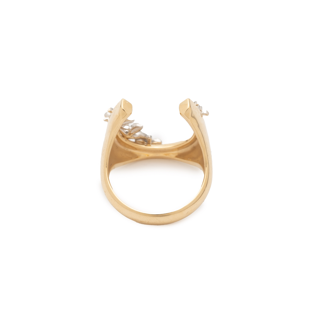 18K Mixed Gold Protection & Resilience Horseshoe Ring : in Mixed Gold with Diamonds – FoundRae view 4
