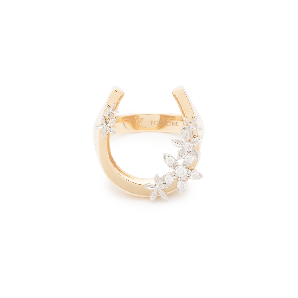 Protection & Resilience Horseshoe Ring : in Mixed Gold with Diamonds view 1