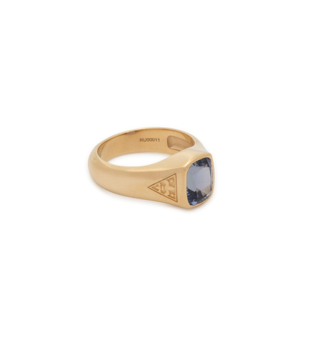 18K Yellow Gold 1.79 ct Tanzanite - Internal Compass : One of A Kind Gemstone Ring – FoundRae