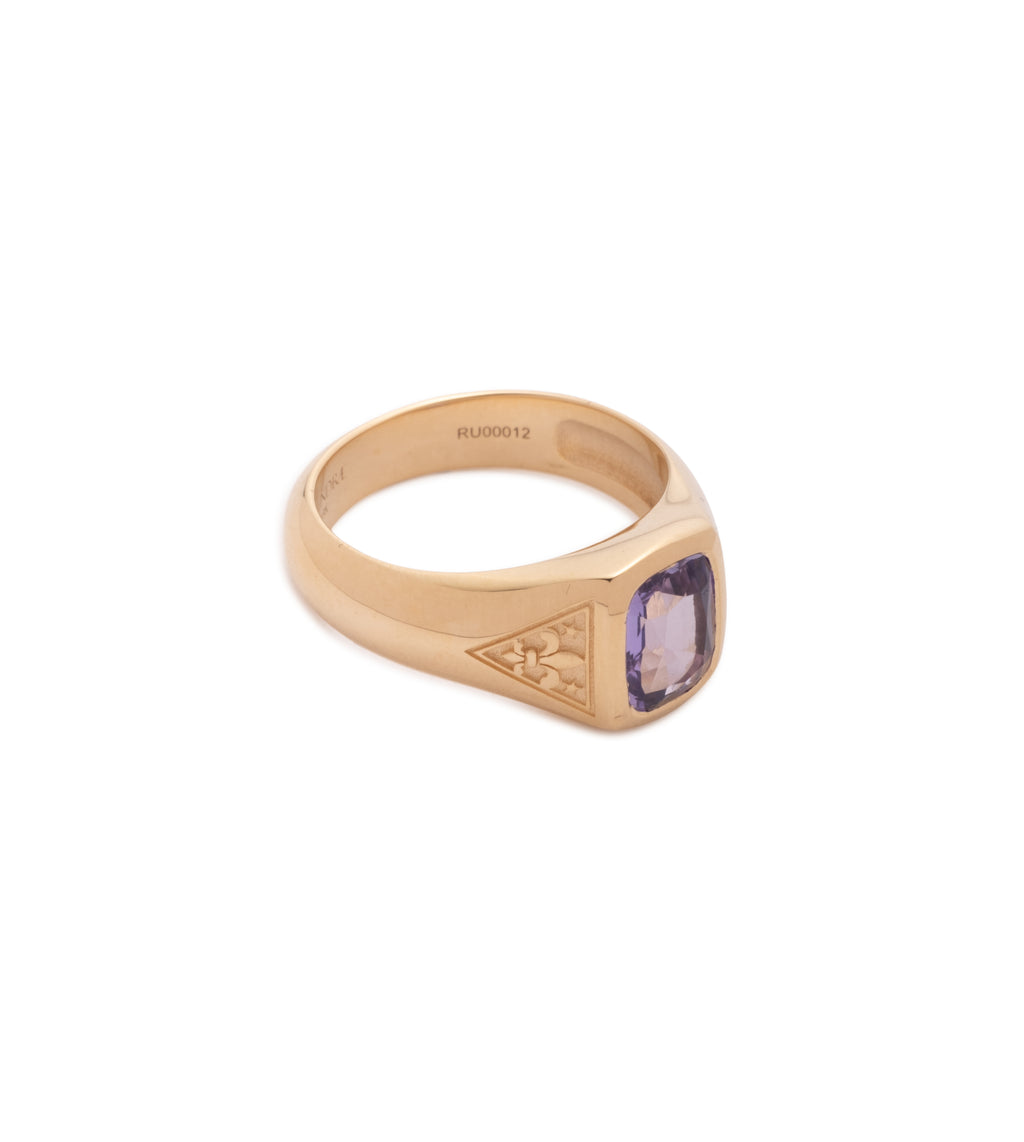 18K Yellow Gold 1.29 ct Purple Sapphire - Internal Compass : One of A Kind Gemstone Ring – FoundRae