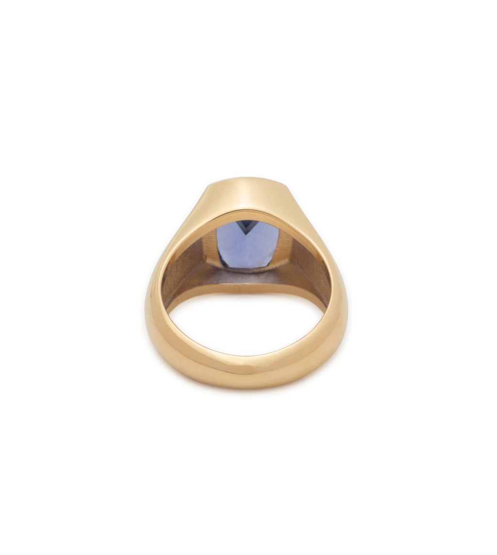 18K Yellow Gold 3.07 ct Purple Sapphire - Internal Compass : One of A Kind Gemstone Ring – FoundRae