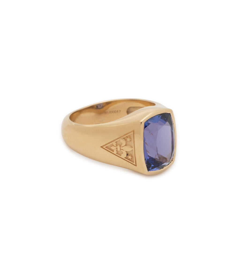 18K Yellow Gold 3.07 ct Purple Sapphire - Internal Compass : One of A Kind Gemstone Ring – FoundRae