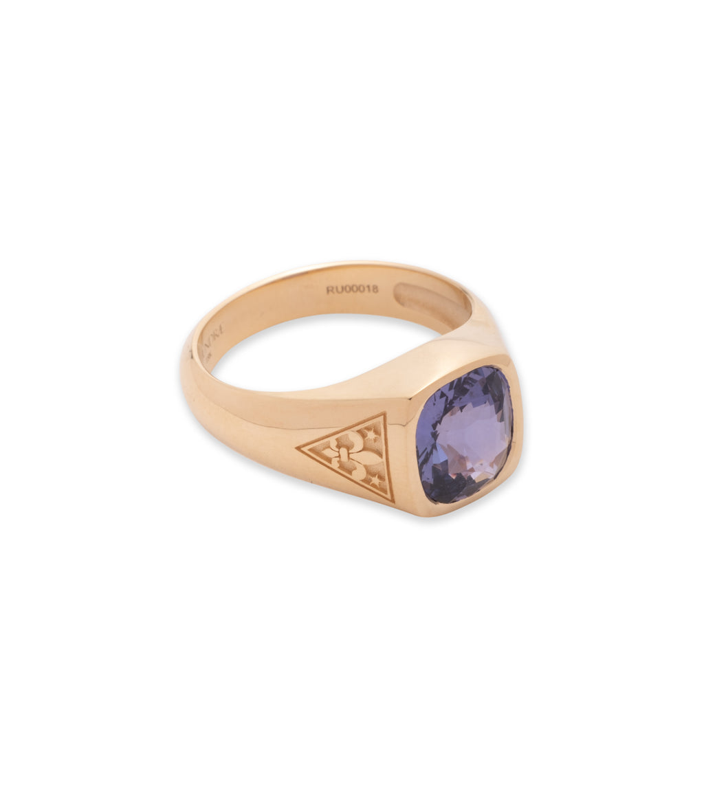 18K Yellow Gold 3.15 ct Purple Sapphire - Internal Compass : One of A Kind Gemstone Ring – FoundRae