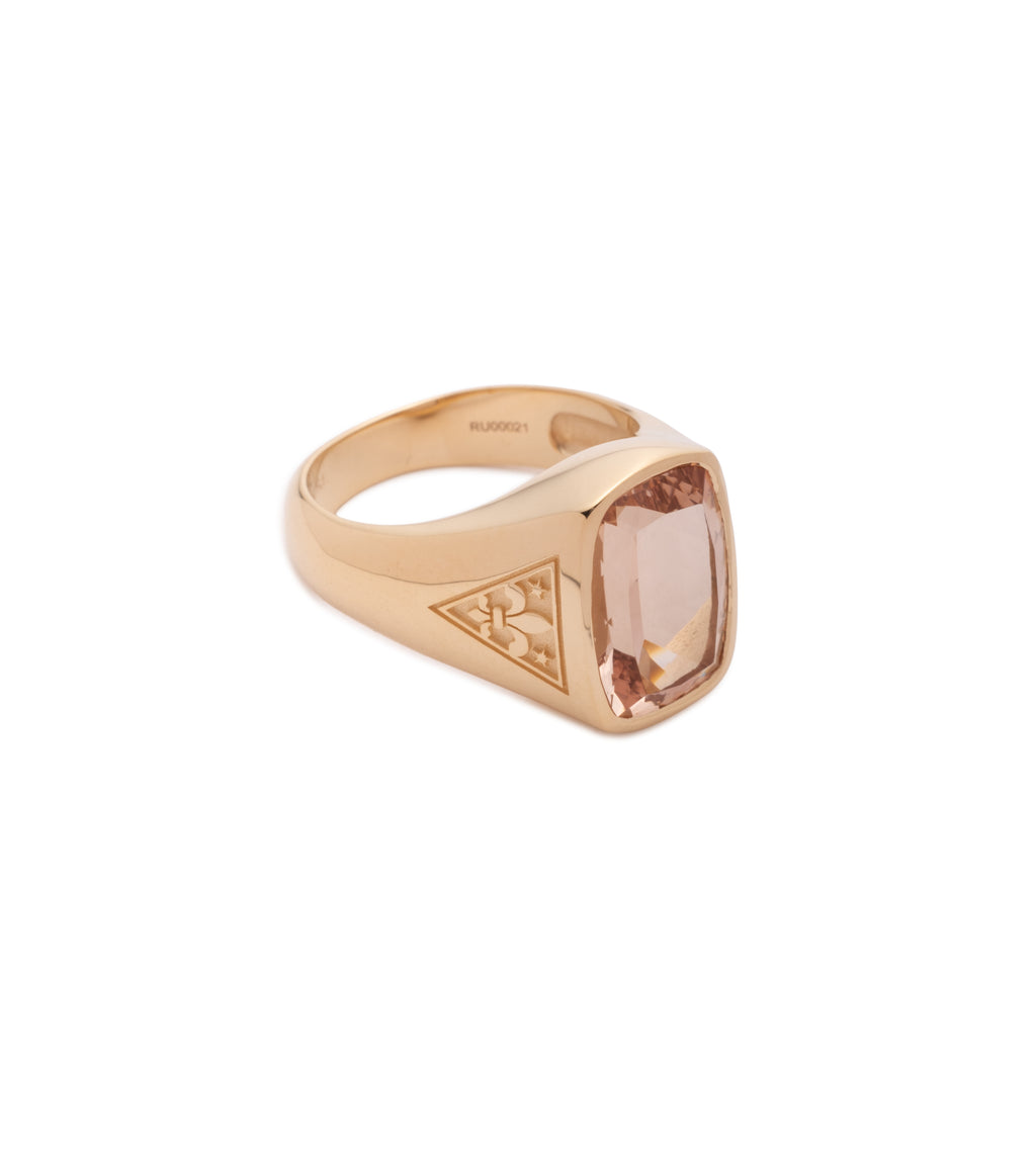 18K Yellow Gold 5.91 ct Morganite - Internal Compass : One of A Kind Gemstone Ring – FoundRae