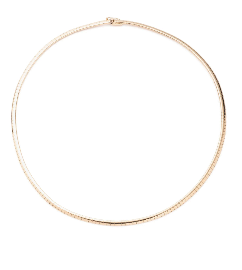 Small Sleek Collar Chain Necklace – FoundRae