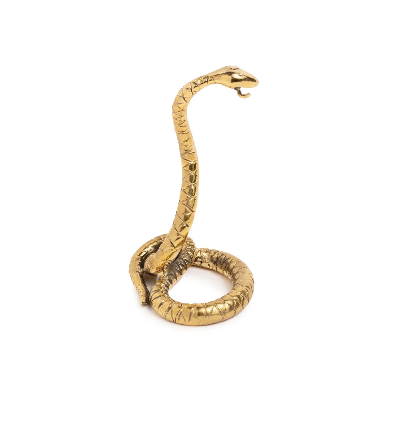 Snake - Wholeness: Medallion Holder