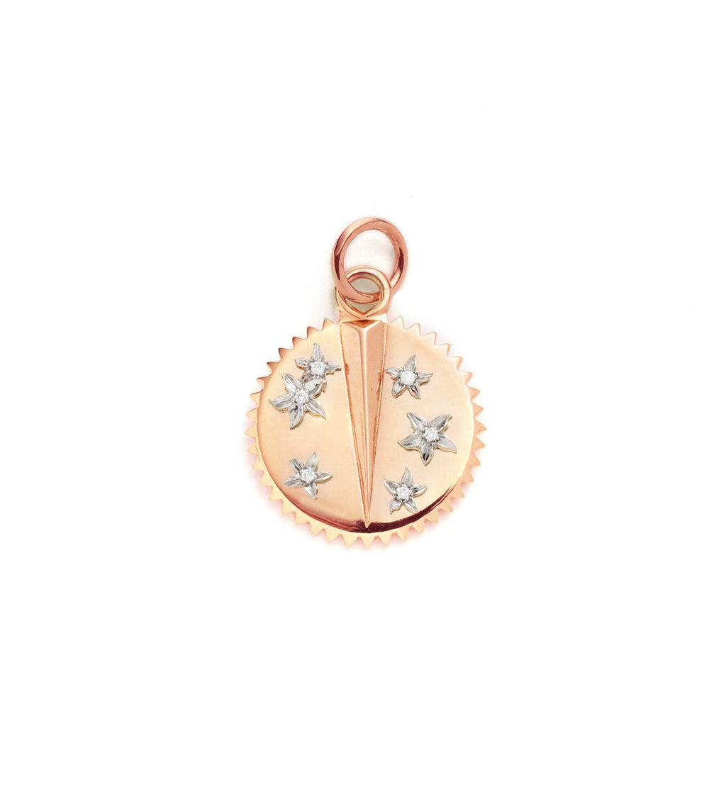 18K Rose Gold Resilience : Baby Medallion – FoundRae