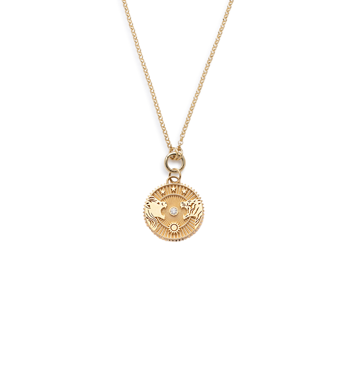 Strength Chain Necklace & Medallion with Diamond – FoundRae