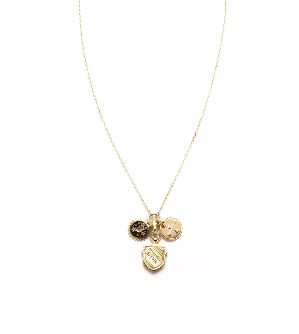 18K Yellow Gold Blossoms - Resilience : Symbol Champleve Enamel Disk Drop Necklace – FoundRae